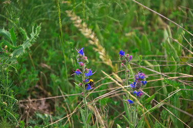 Similar image 6298481