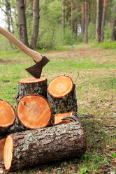 Similar image 6298496