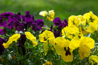 Similar image 6298611