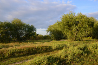 Similar image 6298613