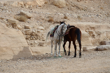 Similar image 6298616