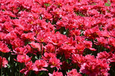 Similar image 6298628