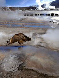 Similar image 6298754