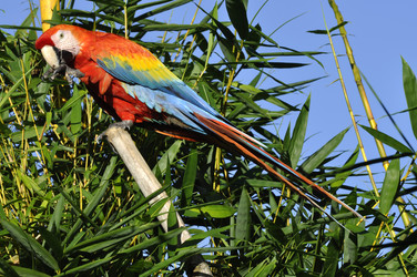 Similar image 6298819