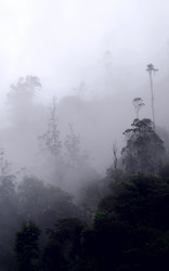 Similar image 6298820