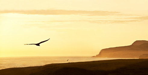 Similar image 6298872