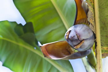 Similar image 6298901