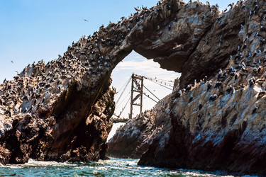 Similar image 6298911