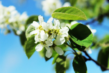 Similar image 6298974