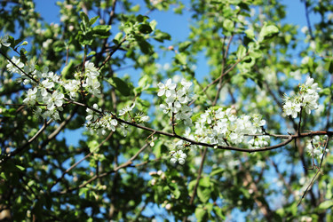 Similar image 6298975