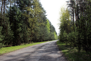 Similar image 6299001