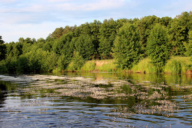 Similar image 6299002