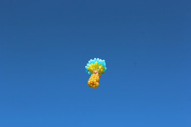 Similar image 6299003