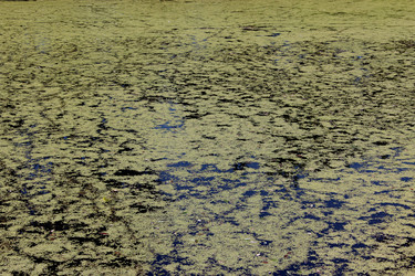 Similar image 6299071