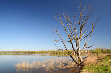 Similar image 6299371