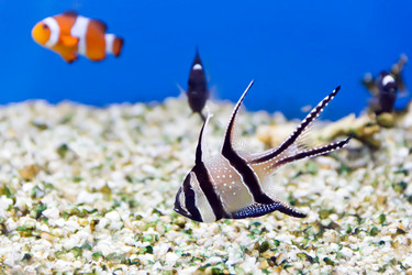 Similar image 6299465