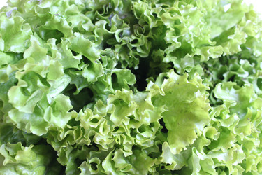 Similar image 6299470