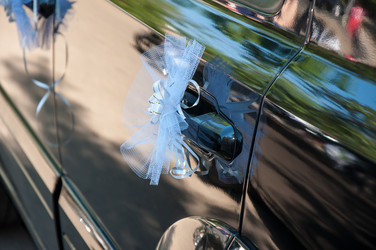 Similar image 6299474