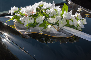 Similar image 6299476