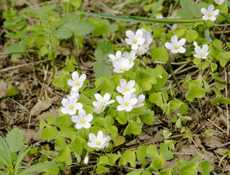 Similar image 6299480