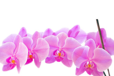 Similar image 6299485