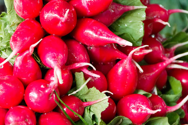 Similar image 6299498