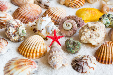 Similar image 6299503