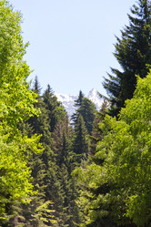 Similar image 6299505