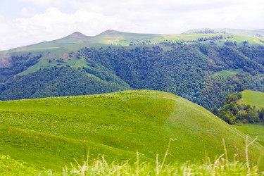 Similar image 6299506