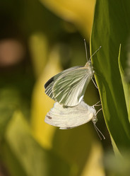 Similar image 6299531