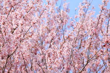 Similar image 6299551