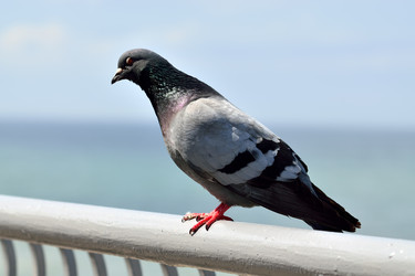 Similar image 6299641