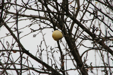 Similar image 6299651