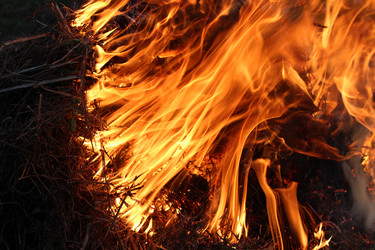 Similar image 6299657