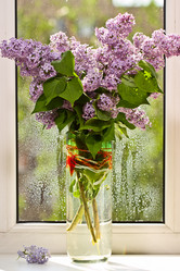 Similar image 6299663