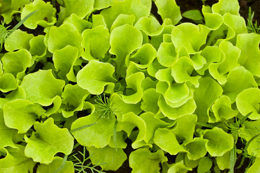 Similar image 6299668