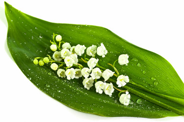 Similar image 6299669