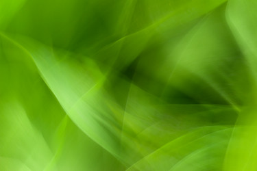 Similar image 6299670