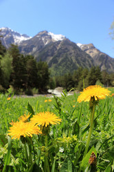 Similar image 6299679