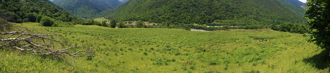 Similar image 6299686