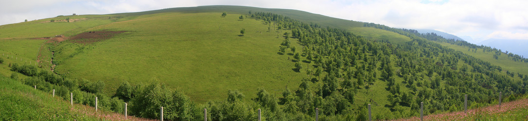 Similar image 6299688