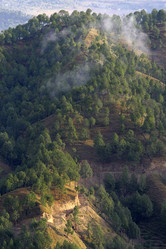 Similar image 6299691