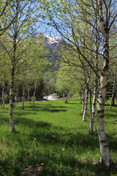 Similar image 6299692