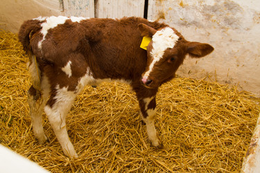 Similar image 6299727