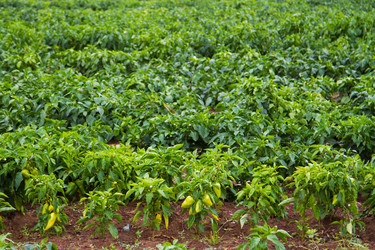 Similar image 6299733