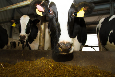 Similar image 6299736