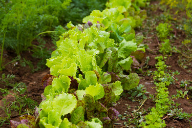 Similar image 6299744