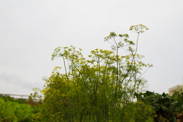 Similar image 6299745