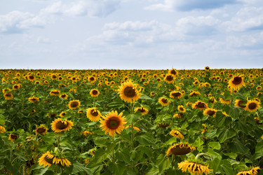 Similar image 6299752