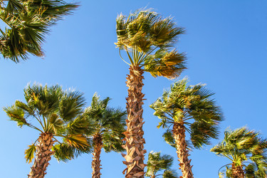 Similar image 6299753